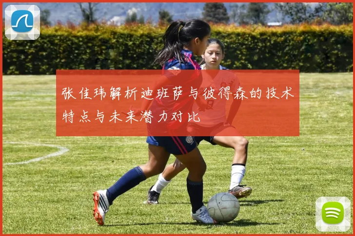 张佳玮解析迪班萨与彼得森的技术特点与未来潜力对比