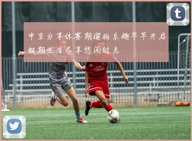 申京分享休赛期遛狗乐趣早早开启假期生活尽享悠闲时光
